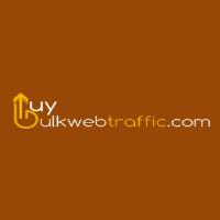 Buy Bulk Web Traffic image 1